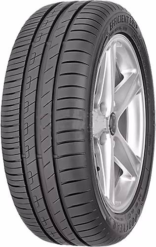 205/55R16 91V  EfficientGrip Performance EGEA (3 Kanal)